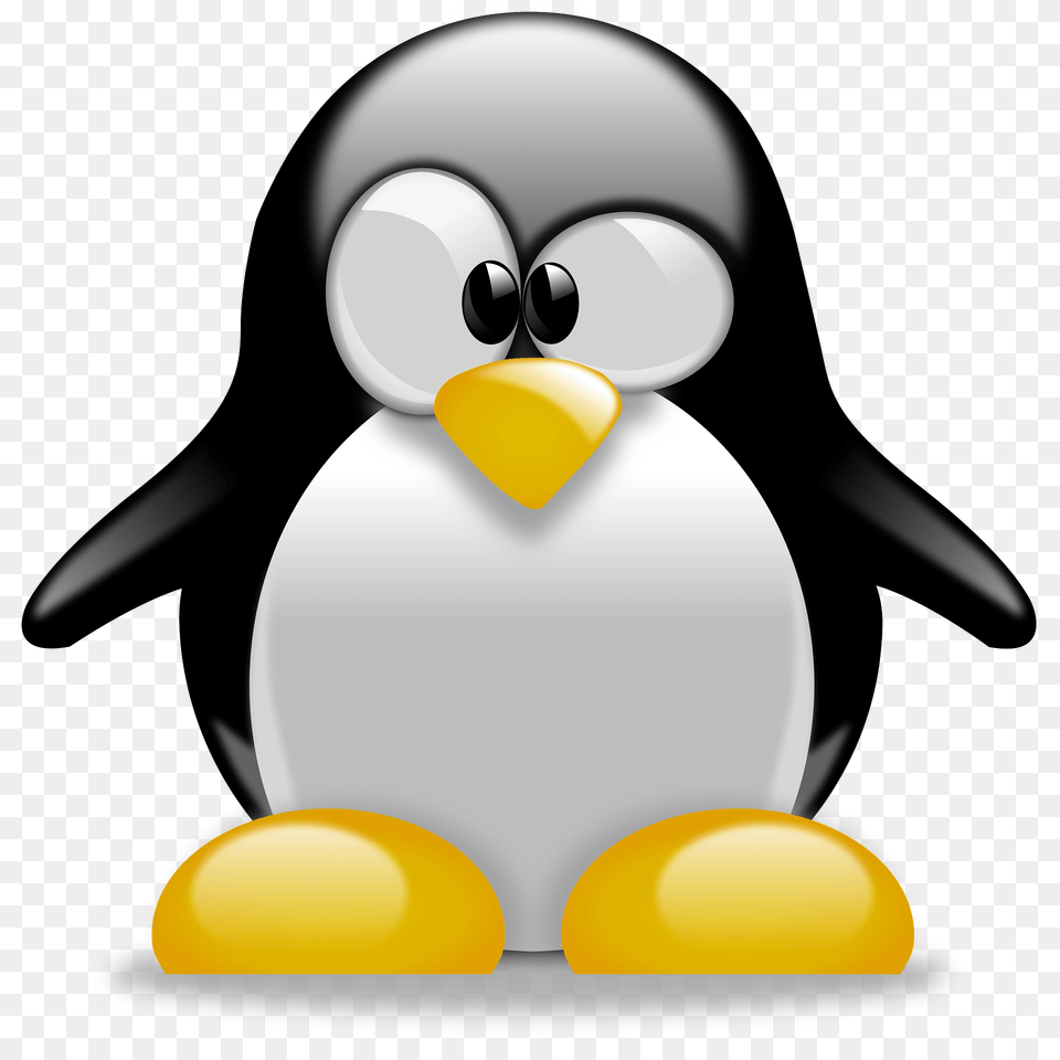 Penguin Clipart, Animal, Bird, Clothing, Hardhat Free Png Download