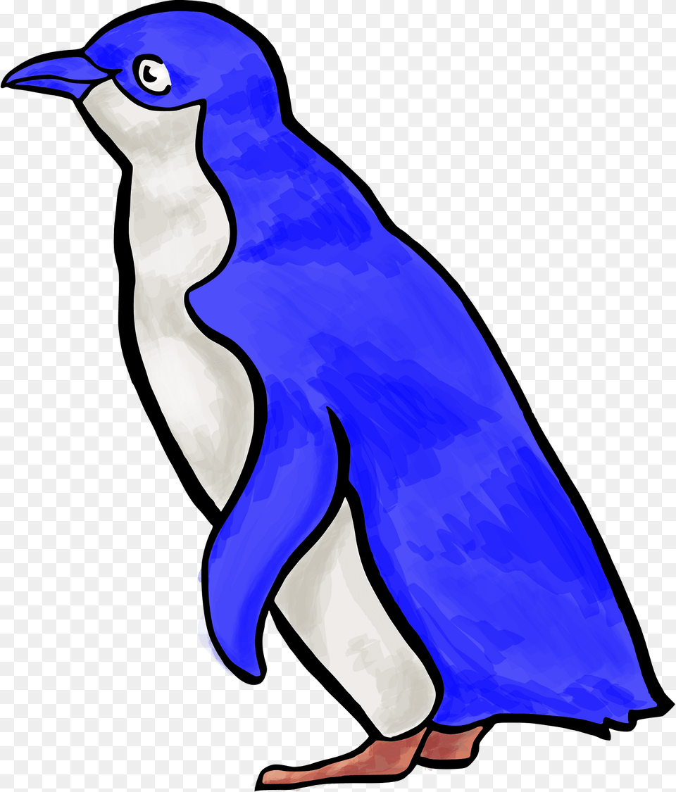 Penguin Clipart, Animal, Bird Free Png Download