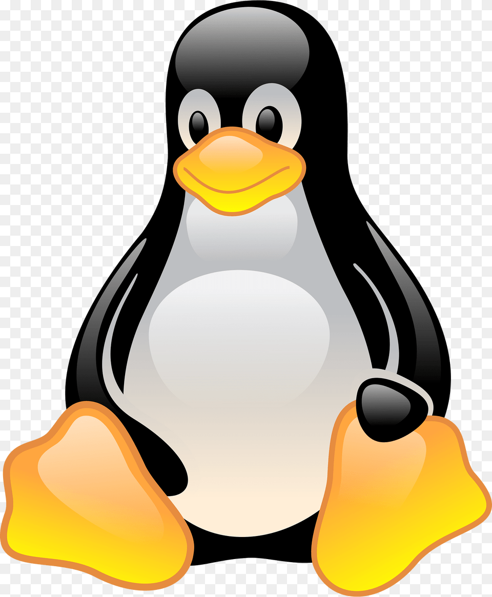 Penguin Clipart, Animal, Bird, Nature, Outdoors Free Png Download