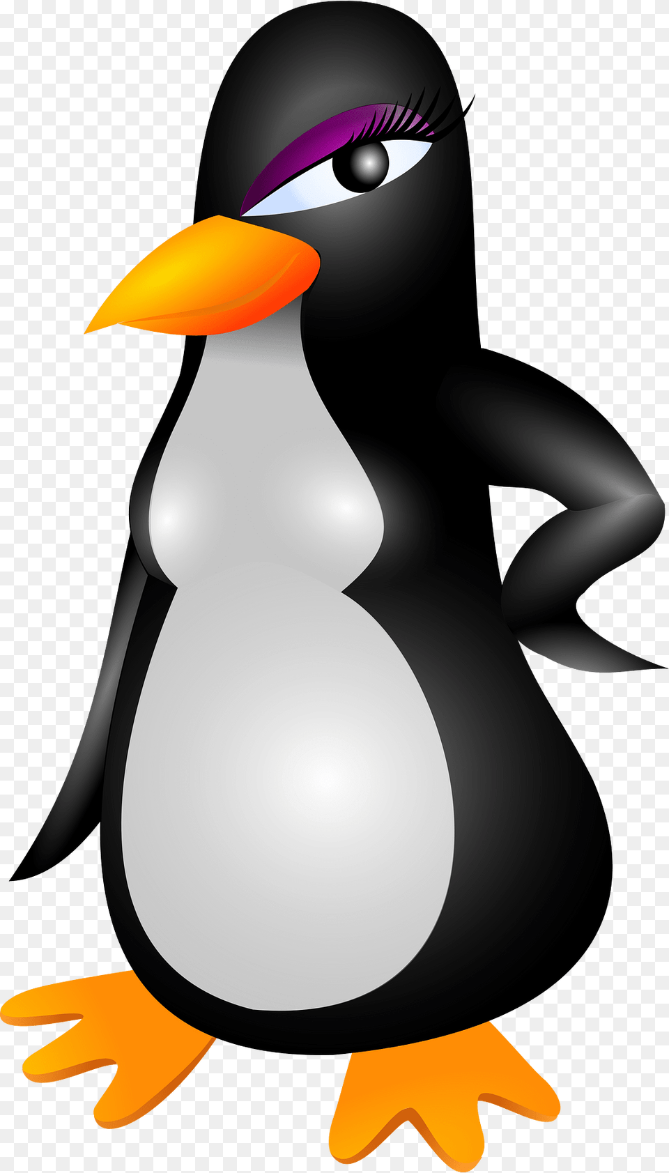Penguin Clipart, Animal, Beak, Bird, Nature Png