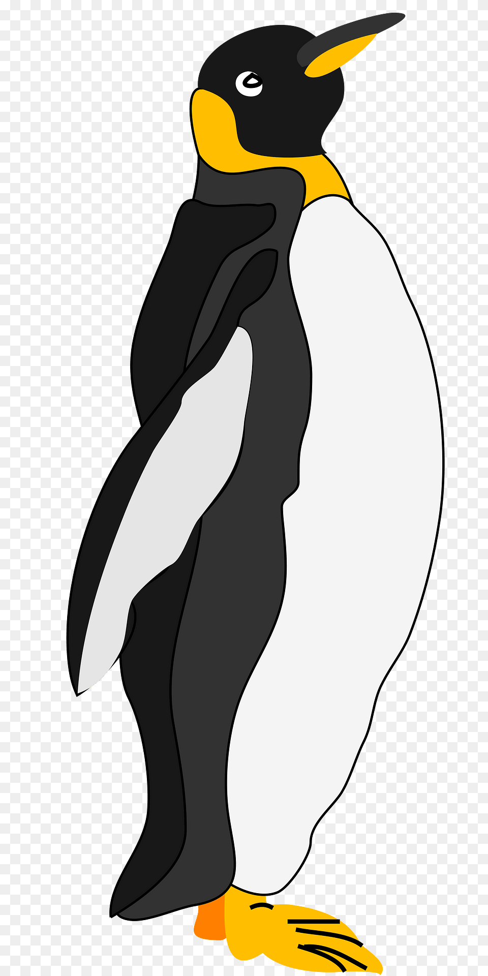 Penguin Clipart, Animal, Bird, King Penguin Png Image