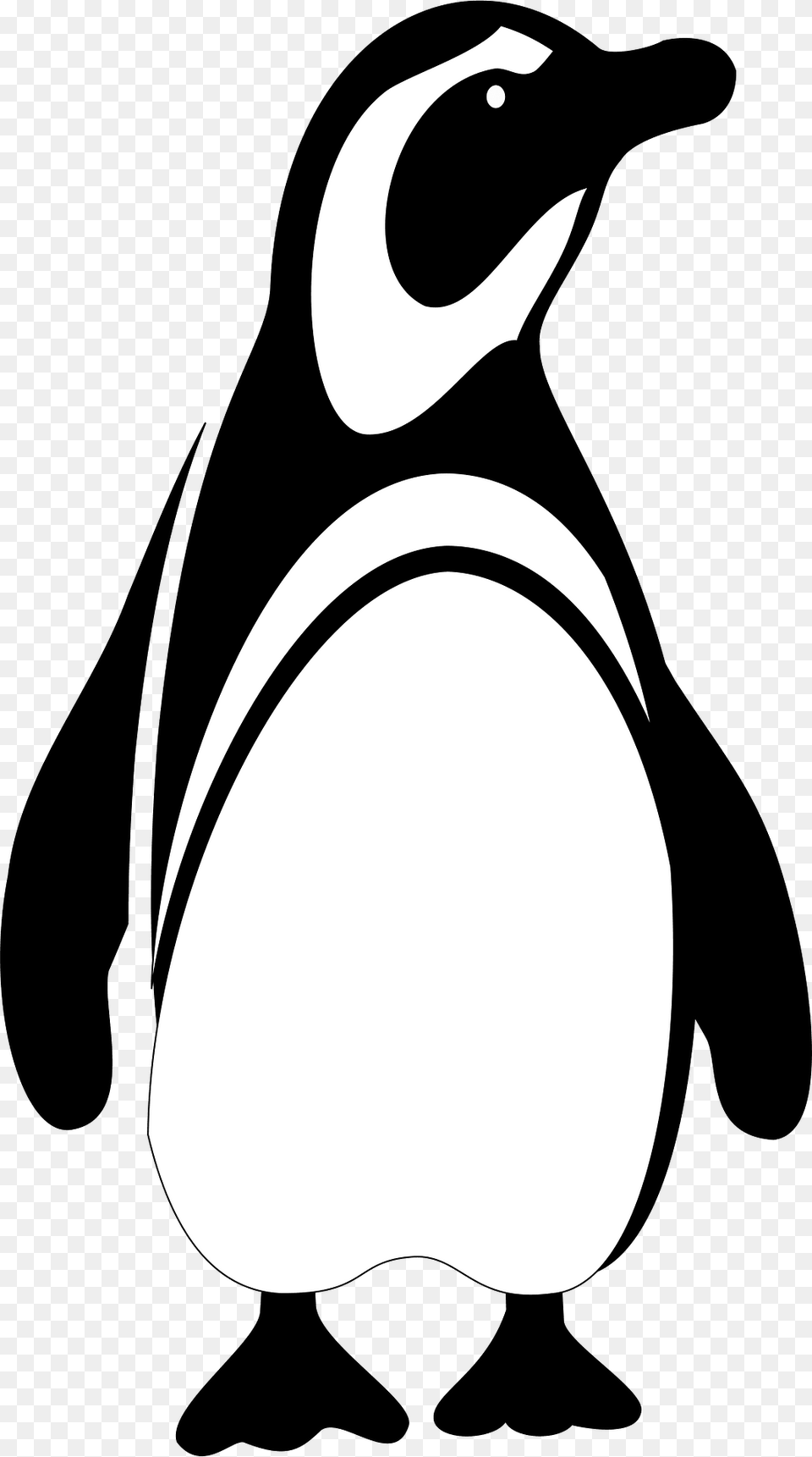 Penguin Clipart, Animal, Bird Png Image