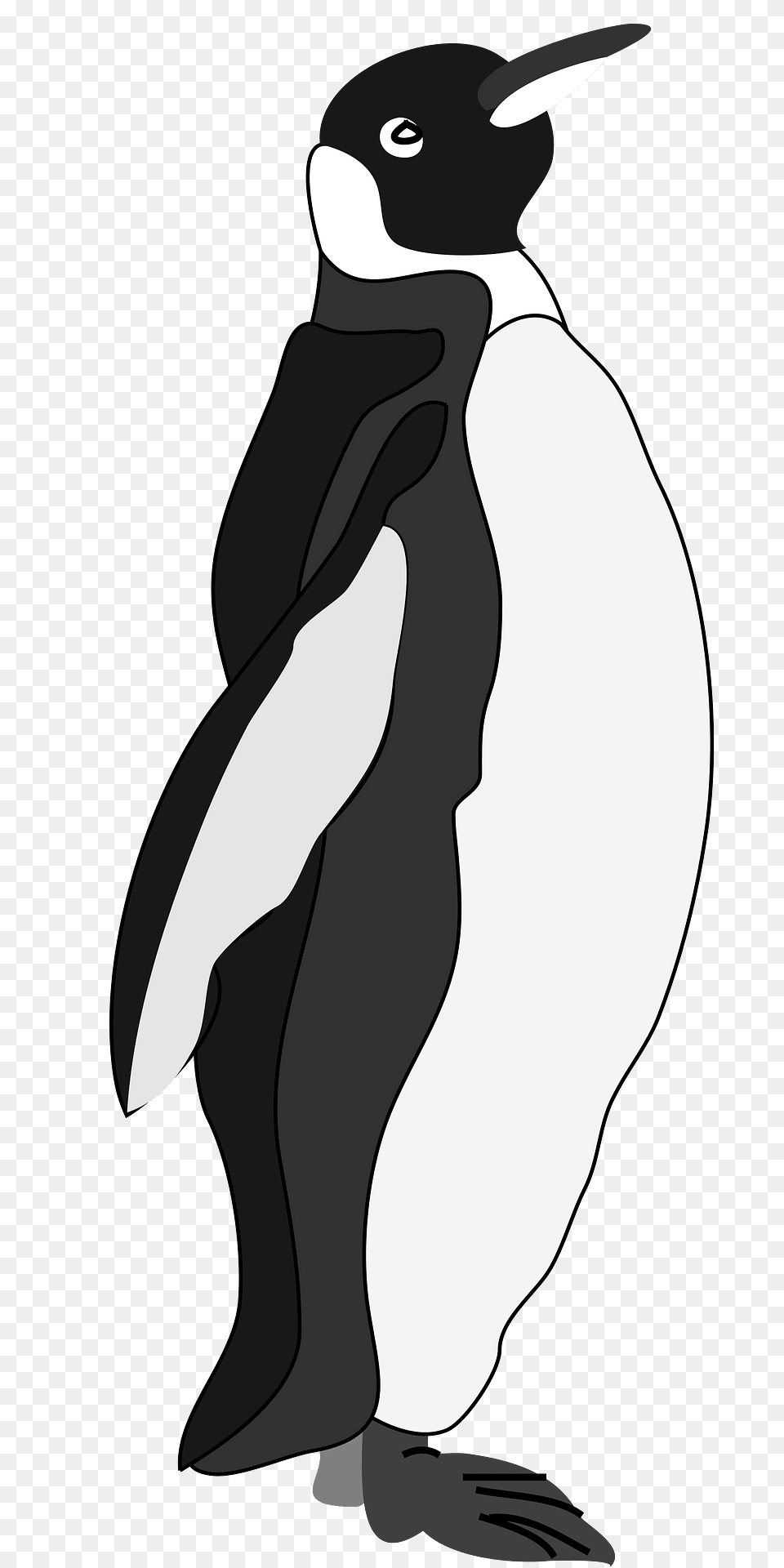 Penguin Clipart, Animal, Bird, King Penguin Free Transparent Png