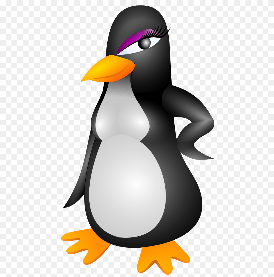 Penguin Clipart, Animal, Bird, Nature, Outdoors Png