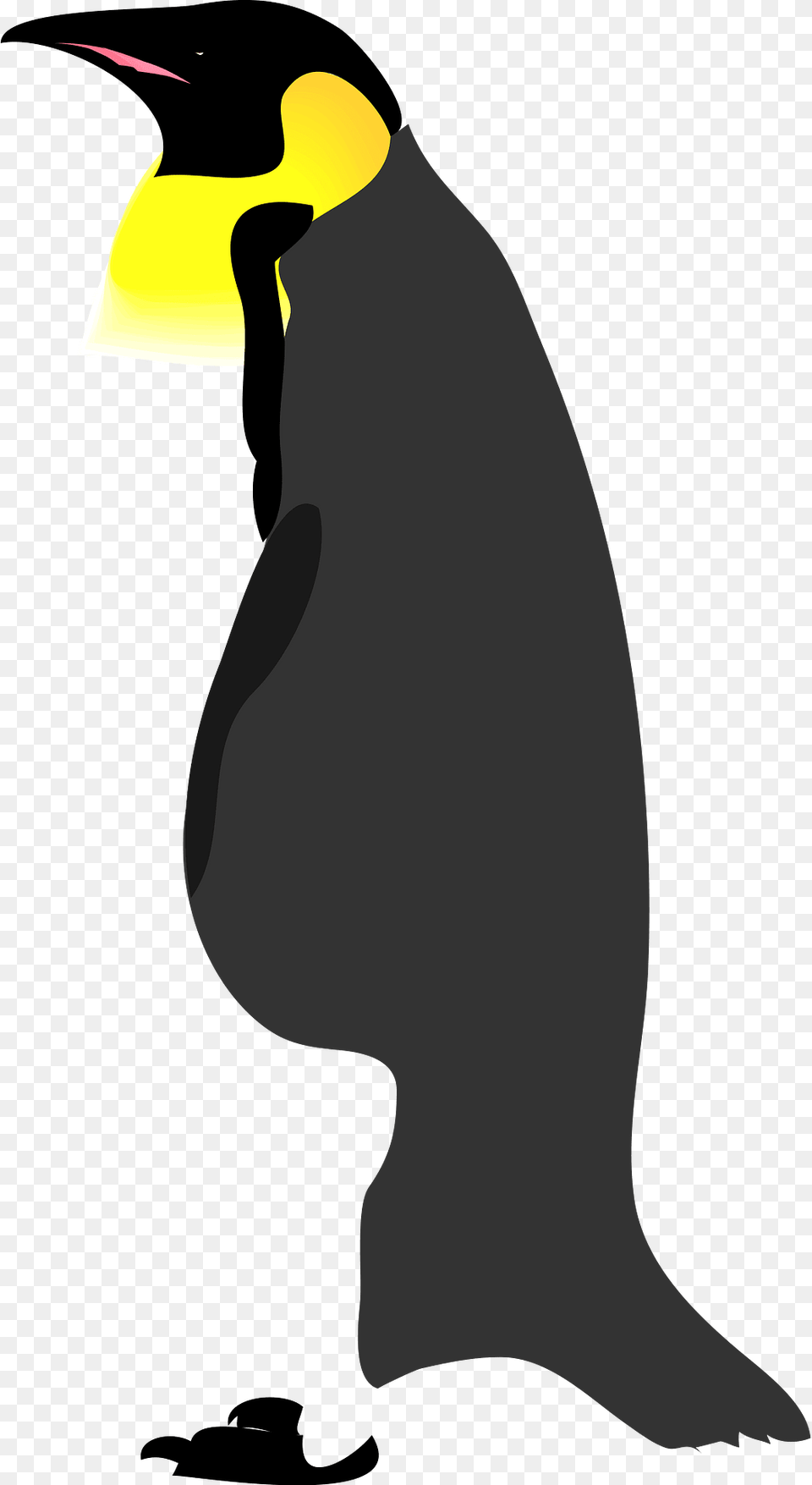 Penguin Clipart, Animal, Bird, King Penguin Png