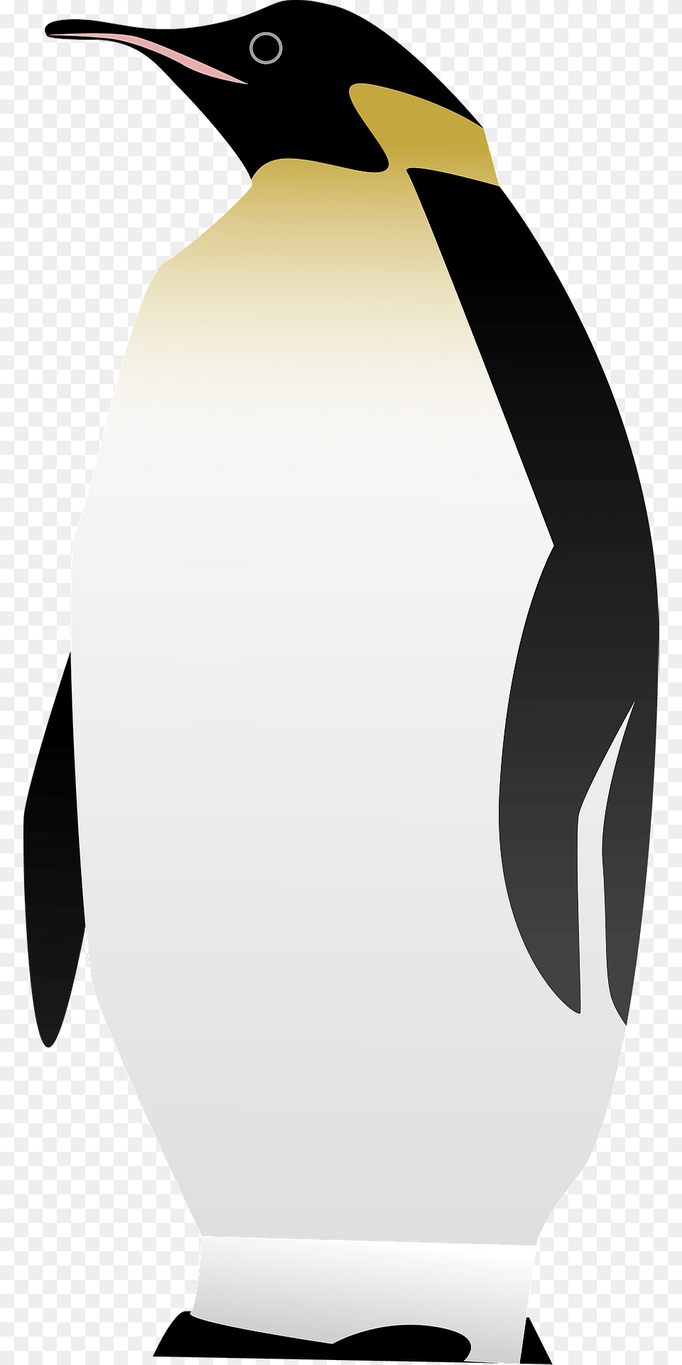 Penguin Clipart, Animal, Bird, King Penguin, Person Free Png