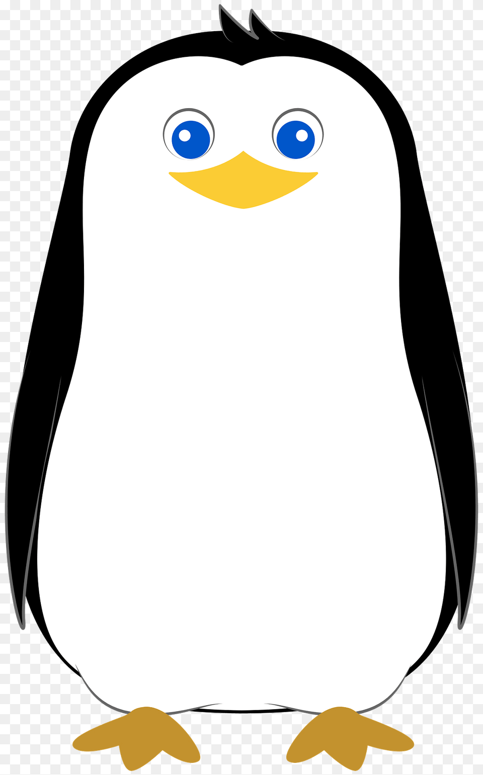 Penguin Clipart, Animal, Bird Png