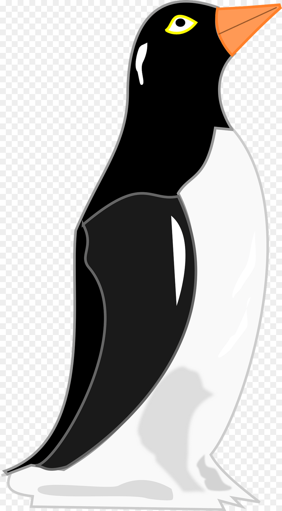 Penguin Clipart, Animal, Bird, King Penguin, Fish Free Transparent Png