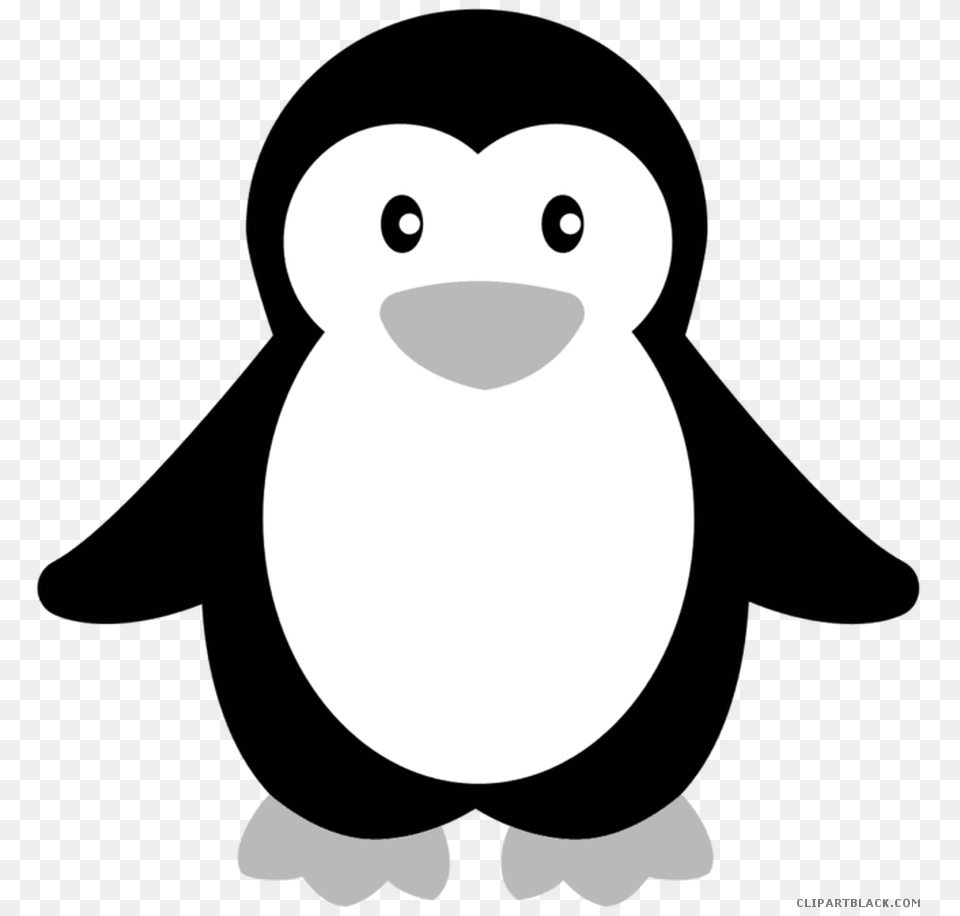 Penguin Clipart Baby Girl, Animal, Bird Png