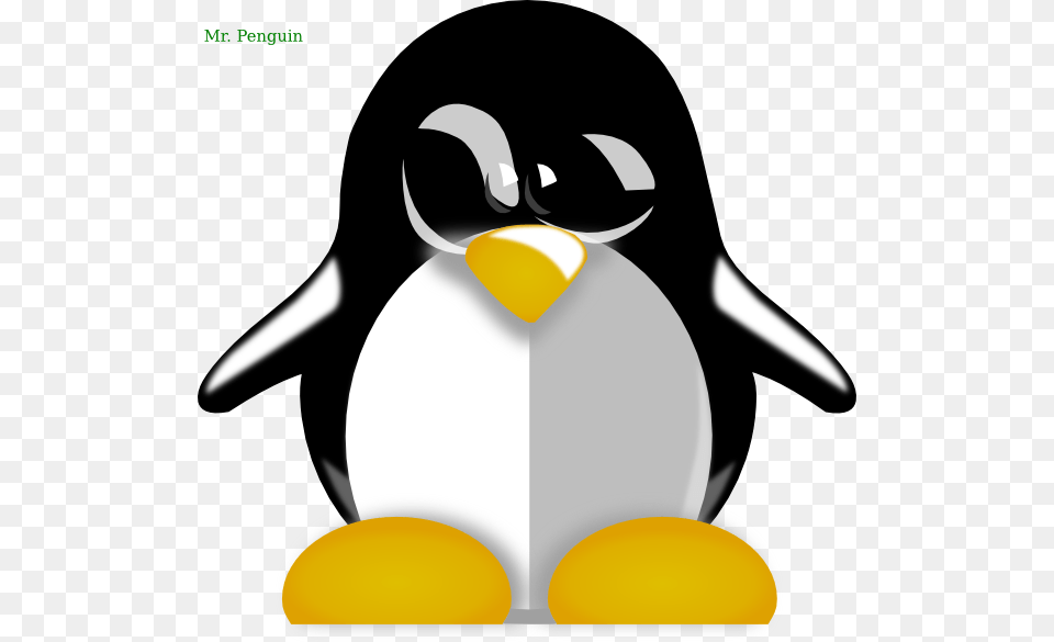 Penguin Clipart Baby Penguin Cartoon, Animal, Bird, King Penguin, Clothing Png