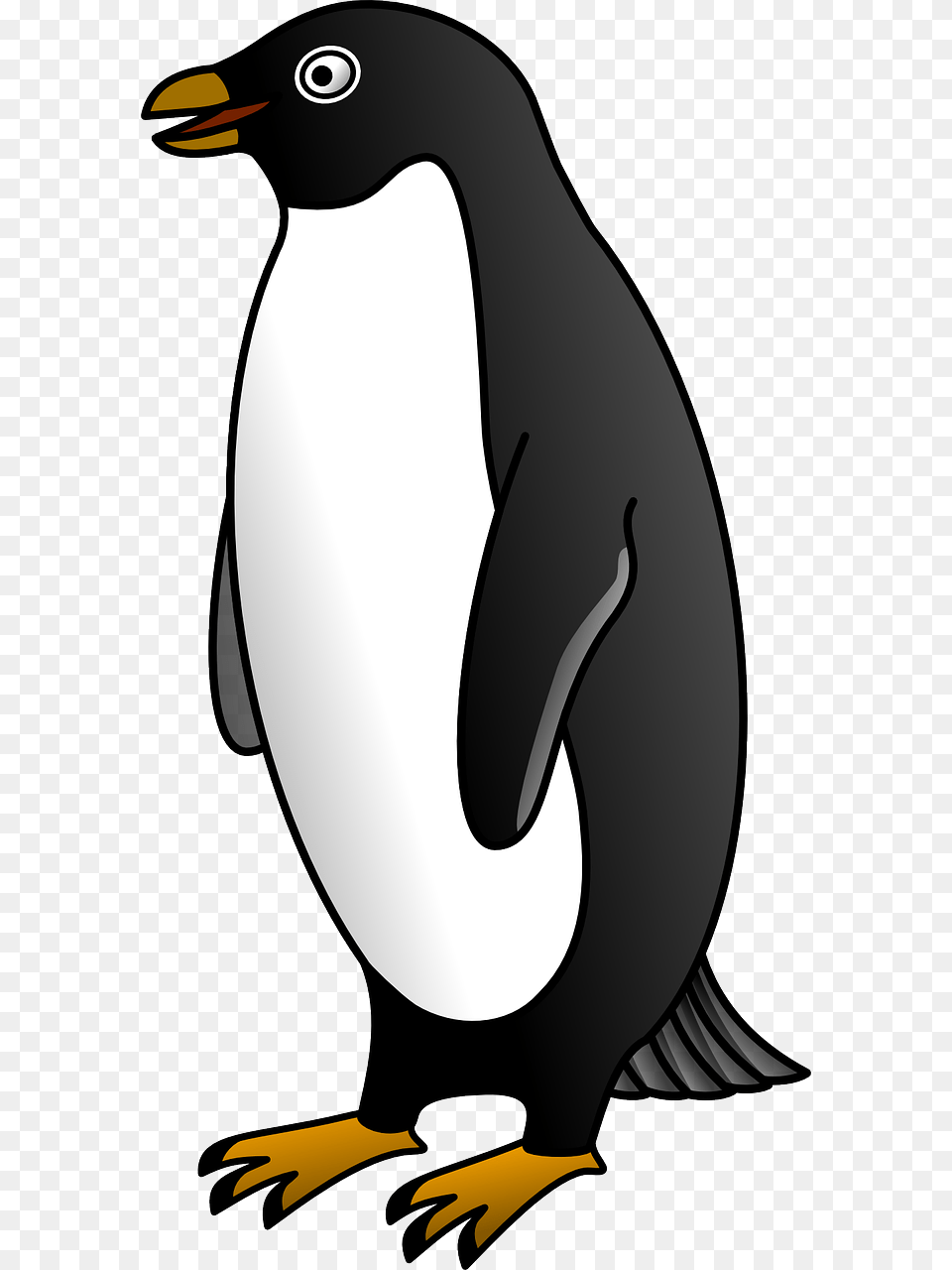 Penguin Clipart Black And White, Animal, Bird, King Penguin Png
