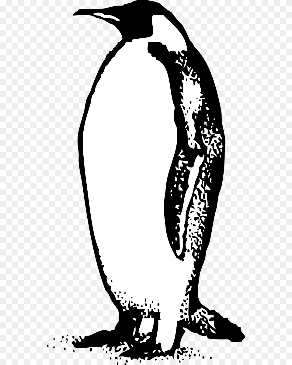 Penguin Clipart By Johnny Automatic Penguin Clip Art, Animal, Bird, Adult, Wedding Free Png