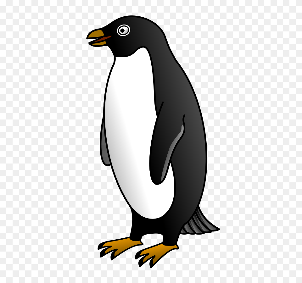 Penguin Clipart Chilly, Animal, Bird, King Penguin Free Png Download