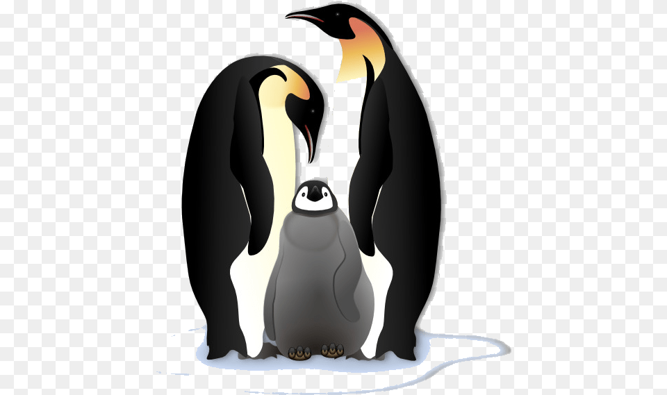 Penguin Content Emperor Flightless Bird King Transparent New Born Penguin Onesie, Animal, King Penguin, Fish, Sea Life Free Png Download