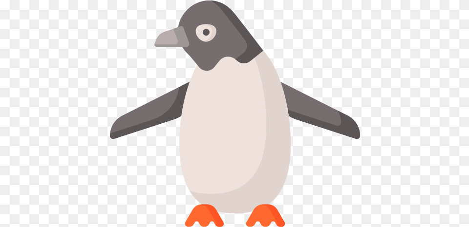Penguin Dot, Animal, Bird, Person Free Png