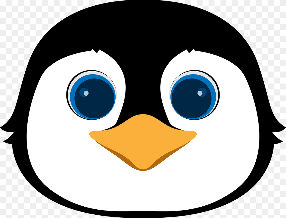 Penguin Face Clipart, Animal, Bird, Disk Png Image