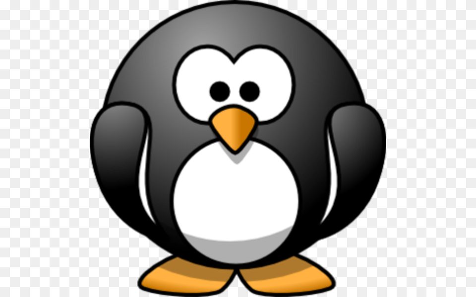 Penguin Fat Cartoon Free, Animal, Bird Png Image