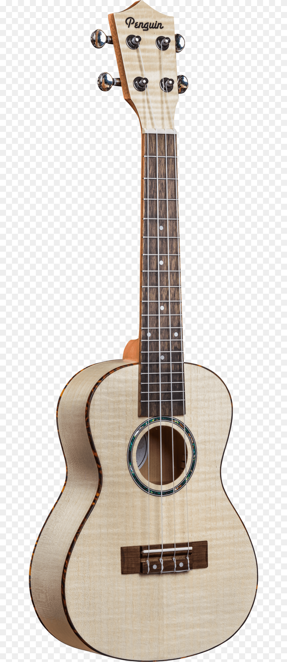 Penguin Flamed Maple, Bass Guitar, Guitar, Musical Instrument Png Image