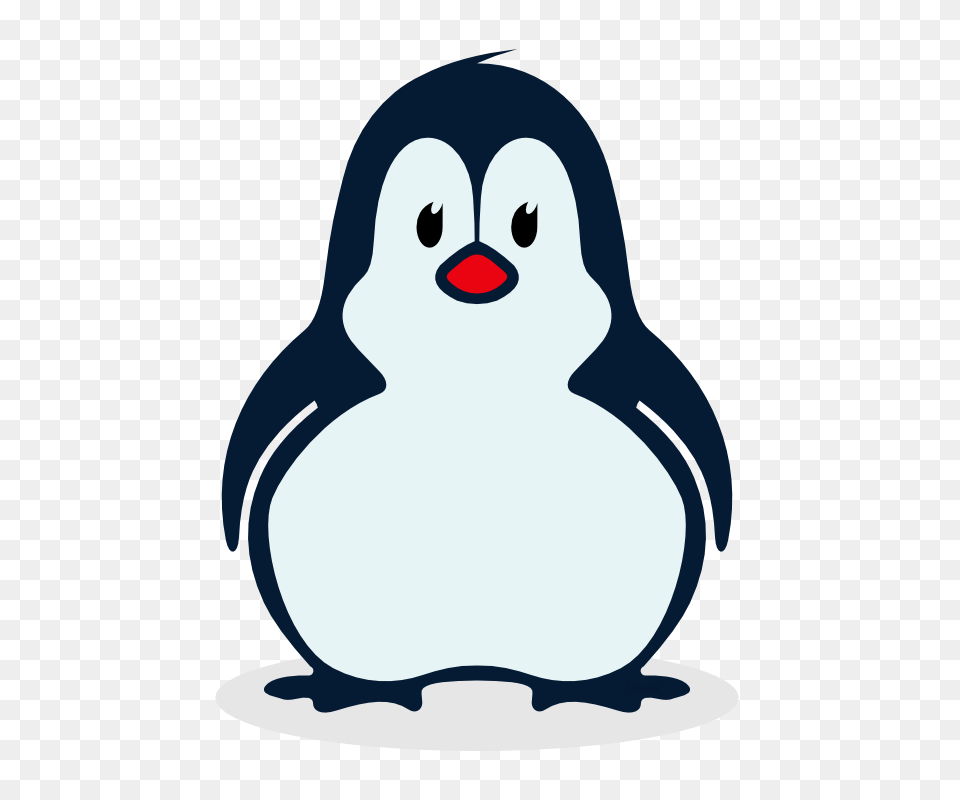 Penguin To Use Clip Art, Animal, Bird Free Png