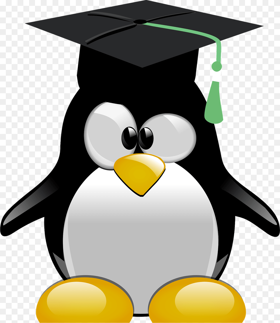 Penguin Graduate Clipart, Person, People, Animal, Bird Png