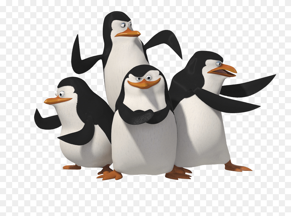 Penguin Group Transparent, Animal, Bird Free Png Download