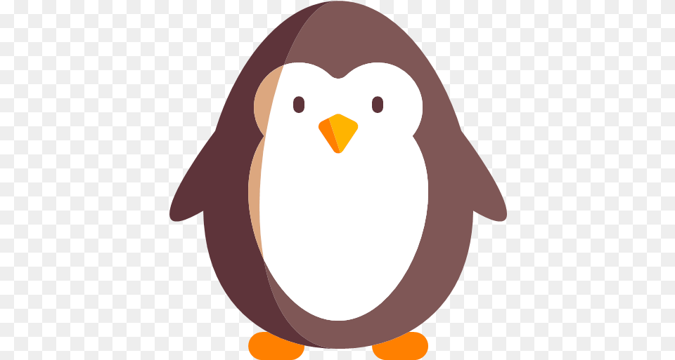 Penguin Icon Facebook, Animal, Bird, Baby, Person Free Png