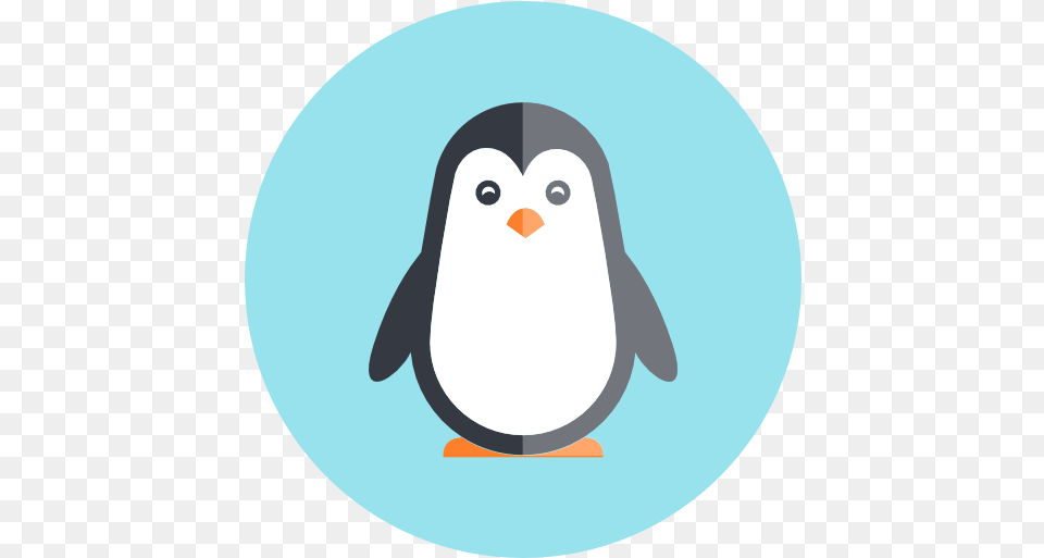 Penguin Icon Penguin, Animal, Bird, Disk Free Png Download