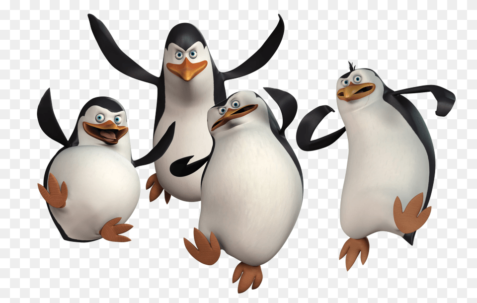 Penguin Image Download Clipart, Animal, Bird Free Png