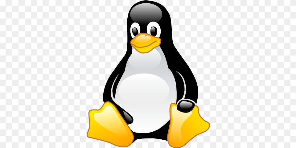 Penguin Linux Cartoon Mascot Of Tux Paint, Animal, Beak, Bird, Nature Png