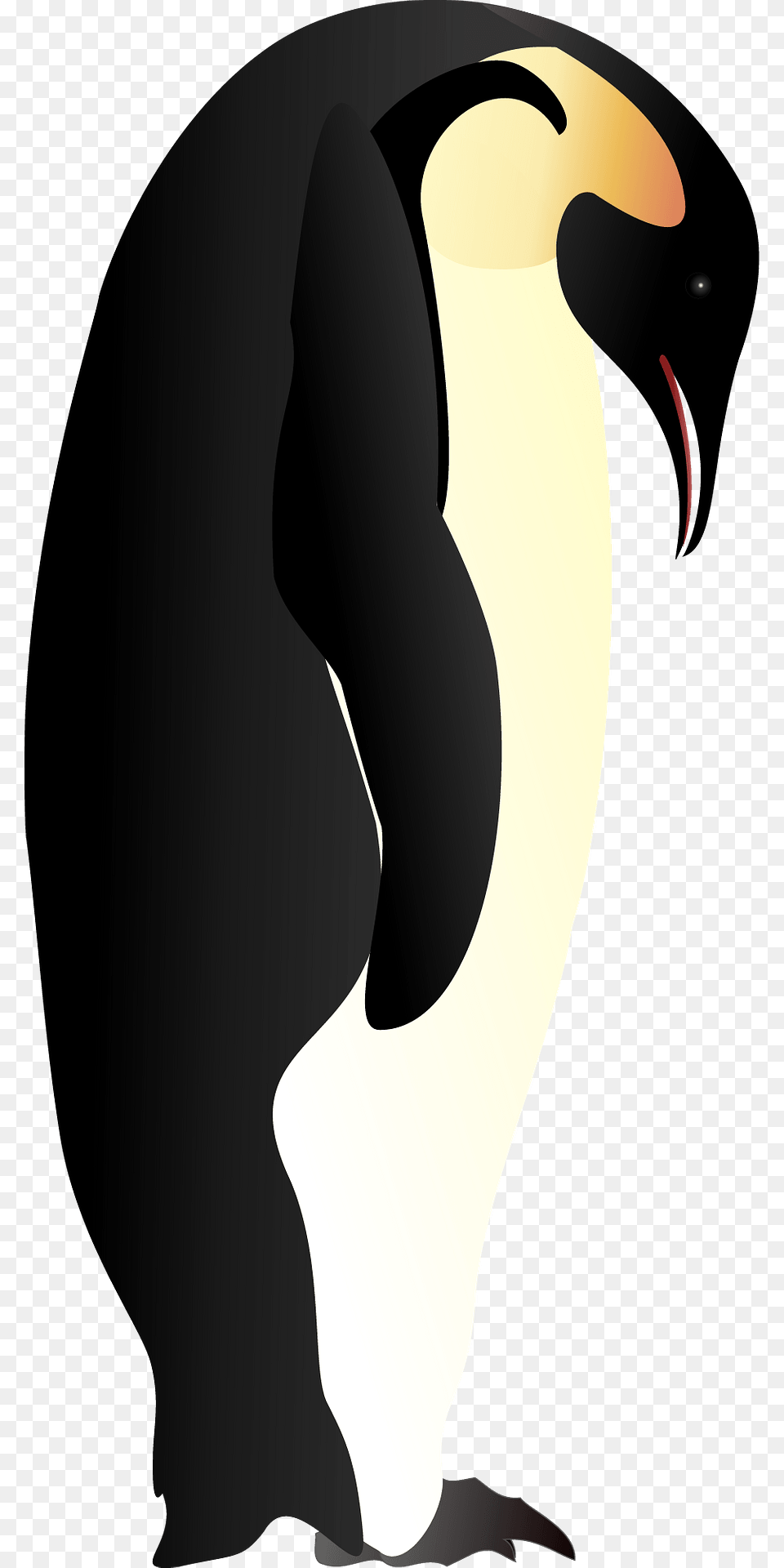 Penguin Looking Down Clipart, Animal, Bird, Adult, Female Png