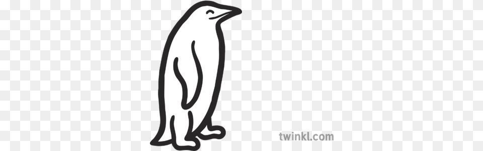 Penguin Map Icon Antarctic Bird Penguin, Animal, Kangaroo, Mammal Free Png Download