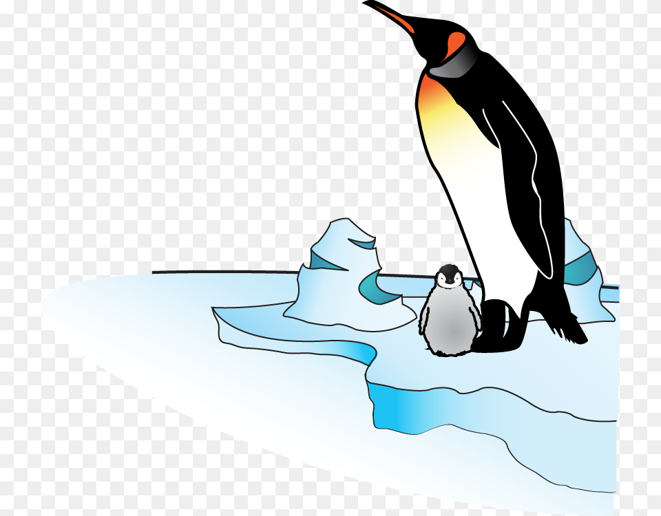 Penguin Mother With Baby, Ice, Animal, Bird, Outdoors Free Png Download