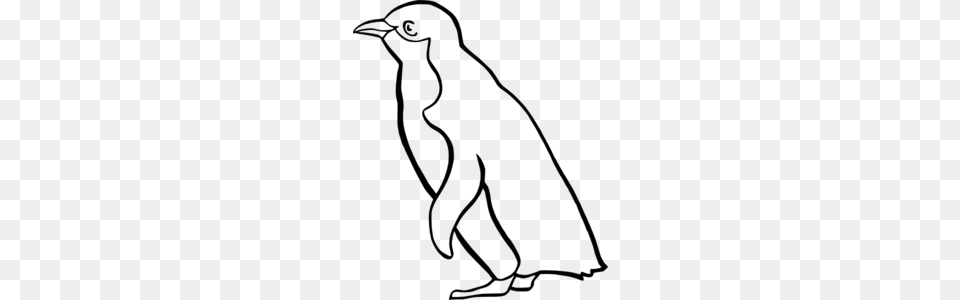 Penguin Outline A And K Design Art Videos, Gray Free Png Download