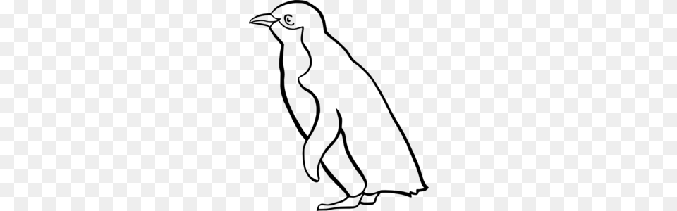 Penguin Outline Clip Art, Gray Png