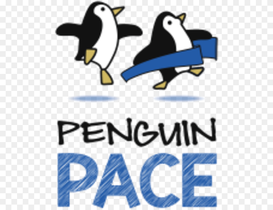 Penguin Pace Wayne Nj Logo Bykino, Animal, Bird Free Transparent Png