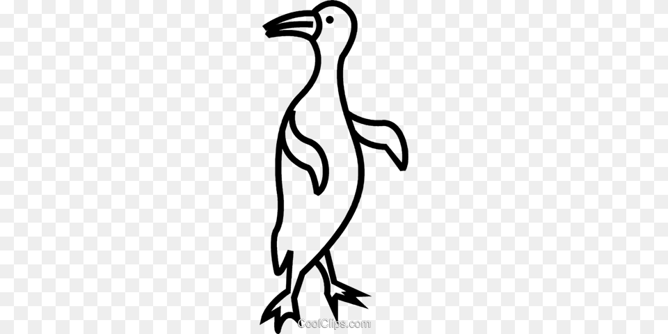 Penguin Royalty Vector Clip Art Illustration, Animal, Bird, Smoke Pipe, Beak Png