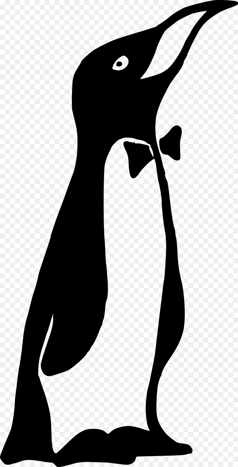 Penguin Svg, Gray Png Image