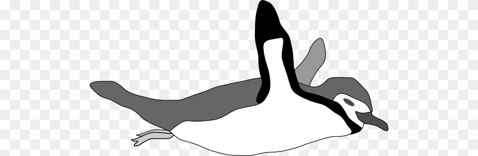 Penguin Swim Clip Art, Animal, Bird, Goose, Waterfowl Free Png Download