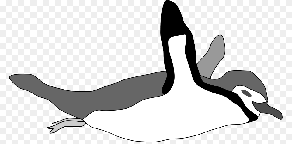 Penguin Swim Clip Arts For Web, Animal, Bird, Goose, Waterfowl Png Image