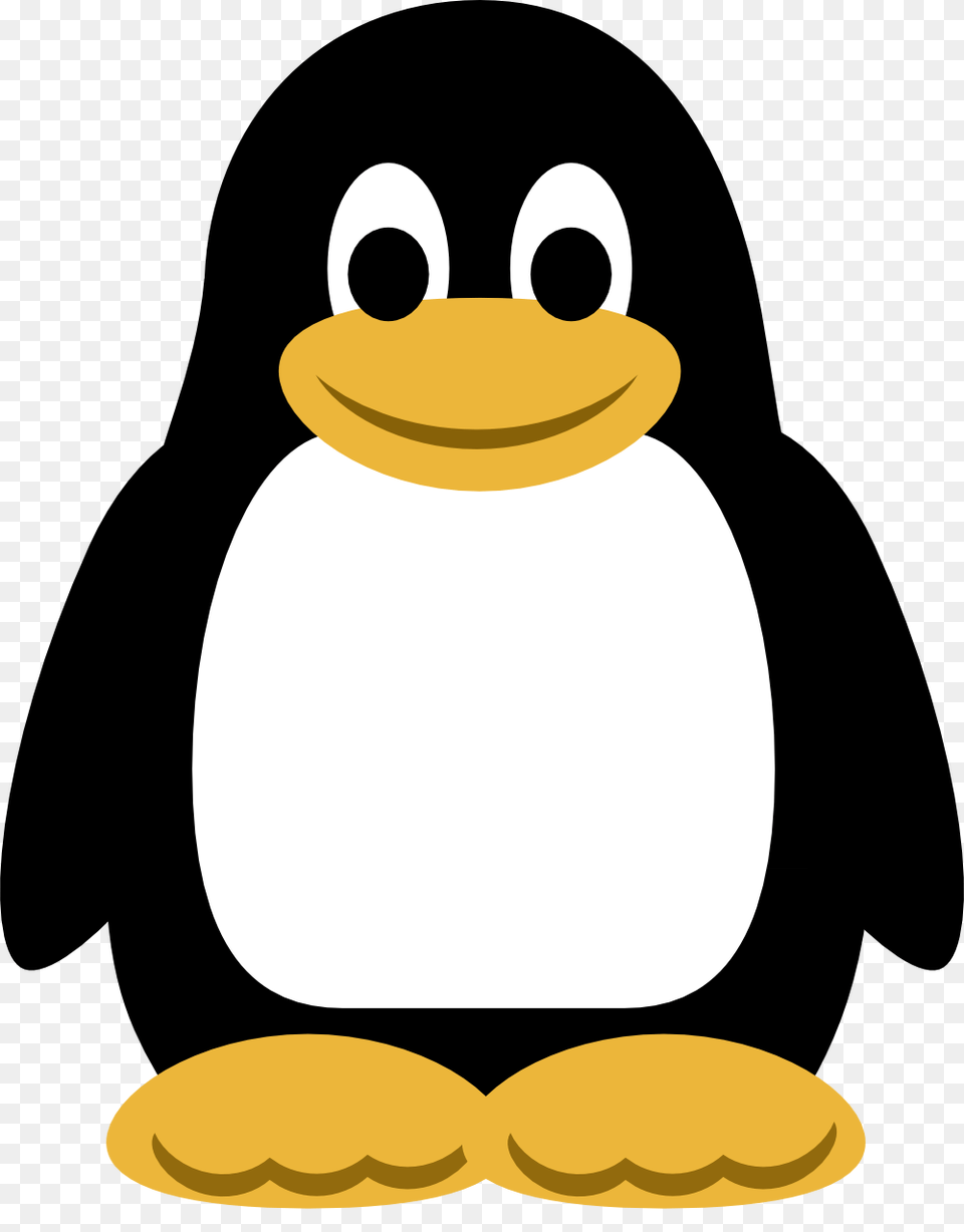 Penguin Transparent Images, Animal, Bird, King Penguin Free Png