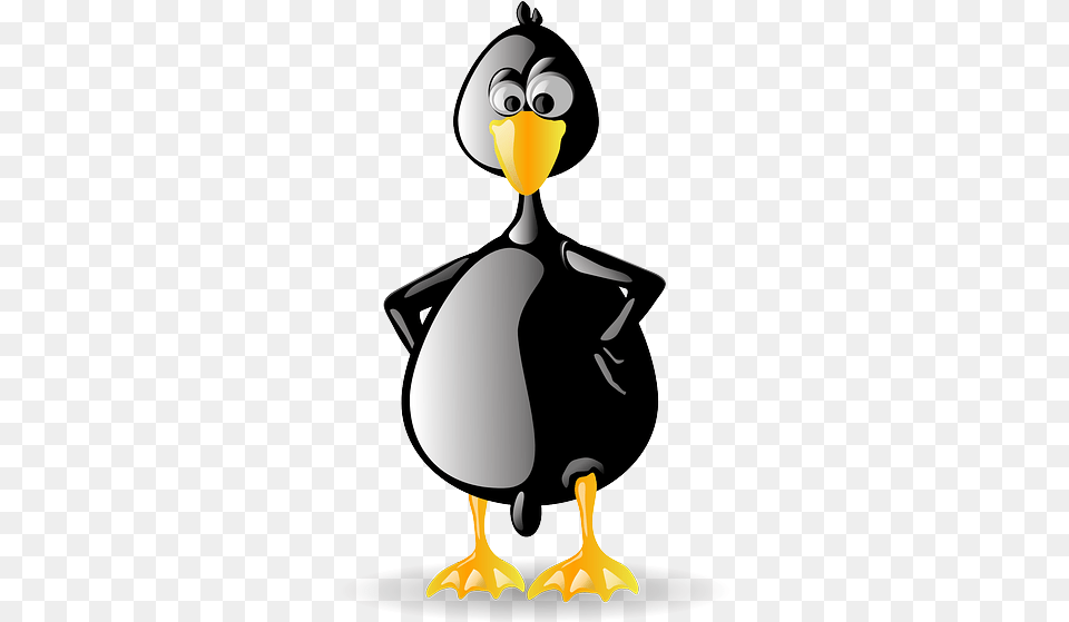 Penguin Tux Animal Bird Black Beak Zoo Linux, Waterfowl, Nature, Outdoors, Snow Free Png Download