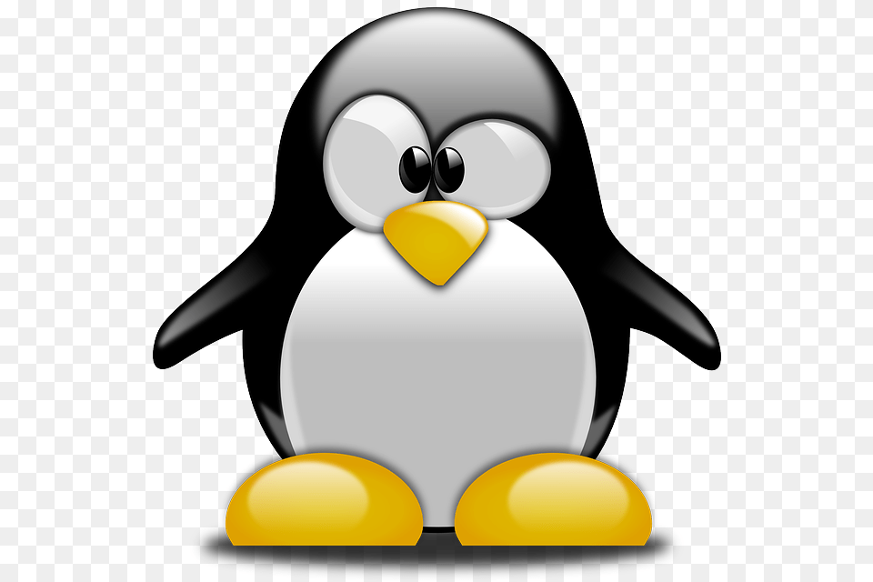 Penguin Tux Animal Bird Cute Cartoon Confused Linux Clipart, Clothing, Hardhat, Helmet Free Png