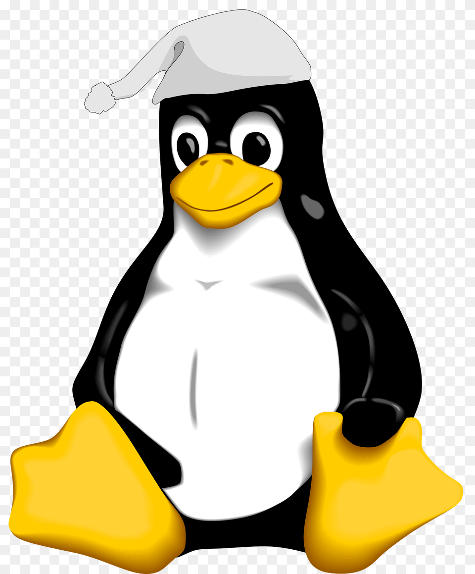 Penguin Wearing A Nightcap Clipart, Animal, Bird, Beak Free Png Download