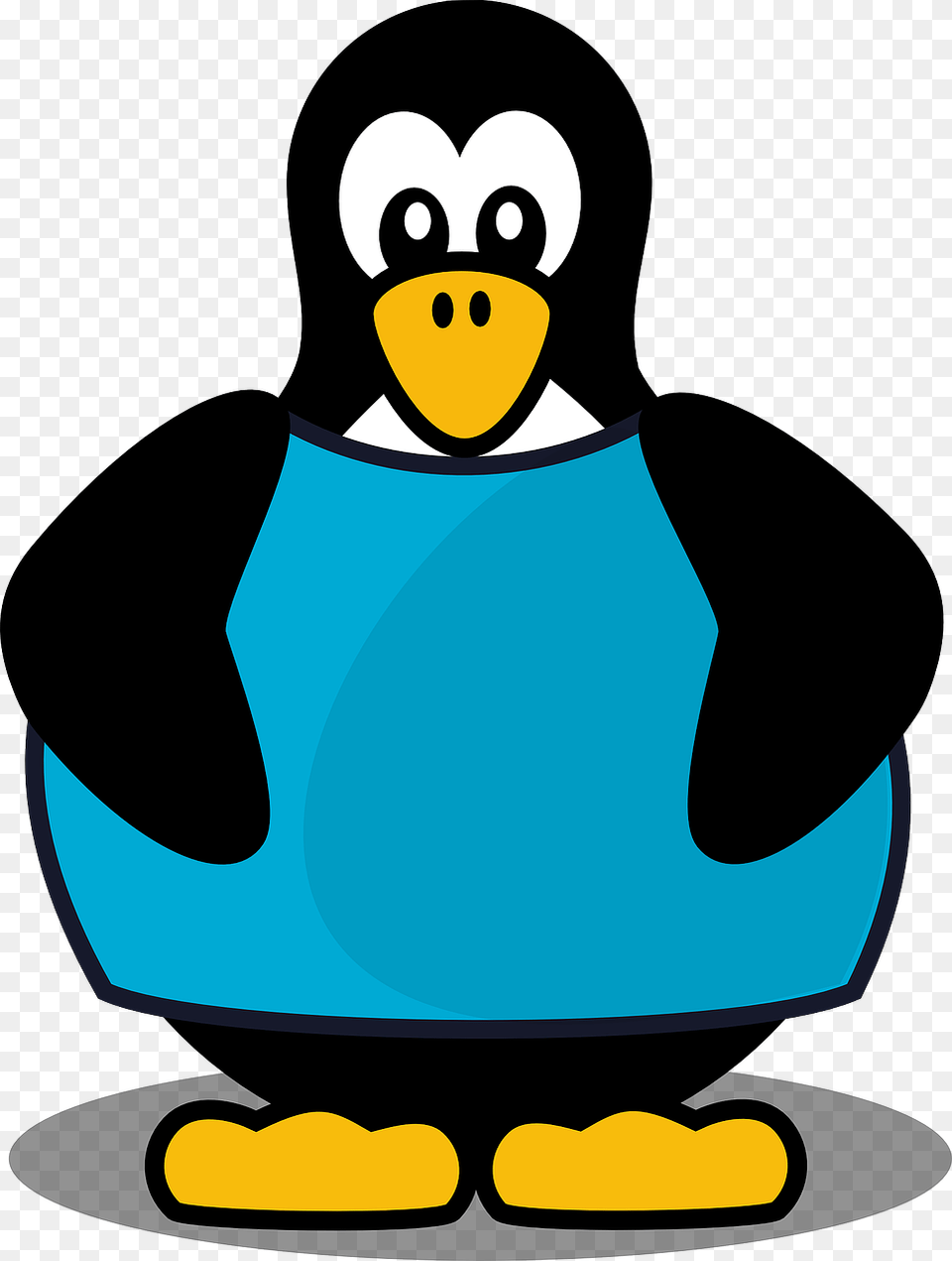 Penguin Wearing A Shirt, Animal, Bird Png