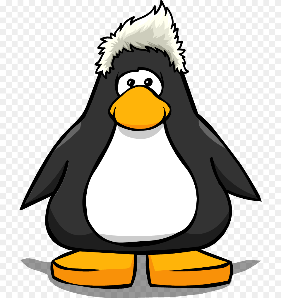 Penguin With Hard Hat, Animal, Bird Free Transparent Png