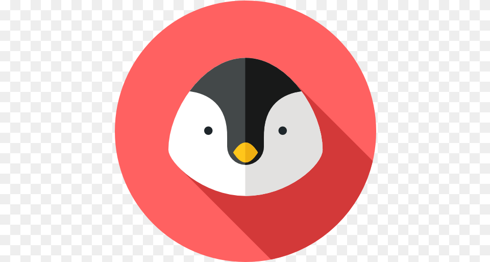 Penguin Zoo Animals Animal Kingdom Wild Life Icon Pinguim Icon, Symbol, Astronomy, Moon, Nature Png