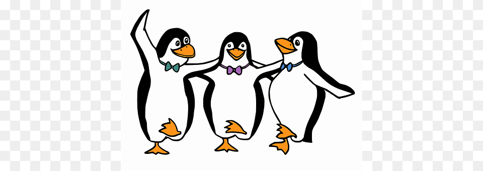 Penguins Animal, Bird, Penguin Png Image