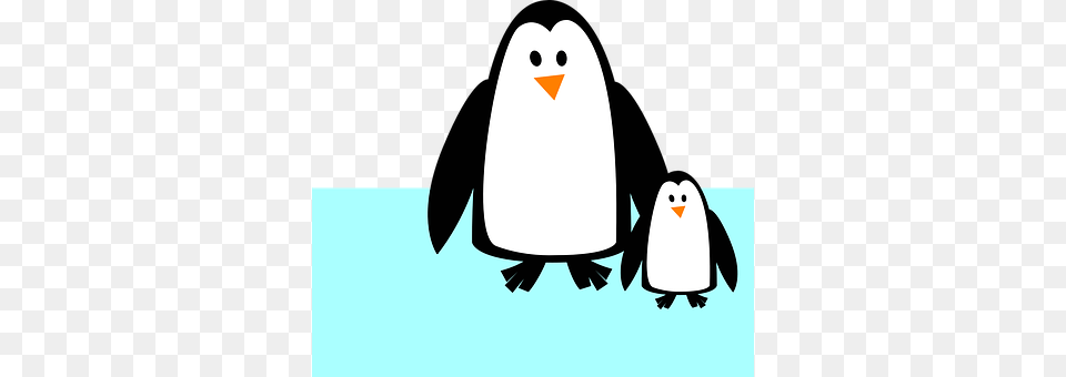 Penguins Animal, Bird, Penguin Free Png Download