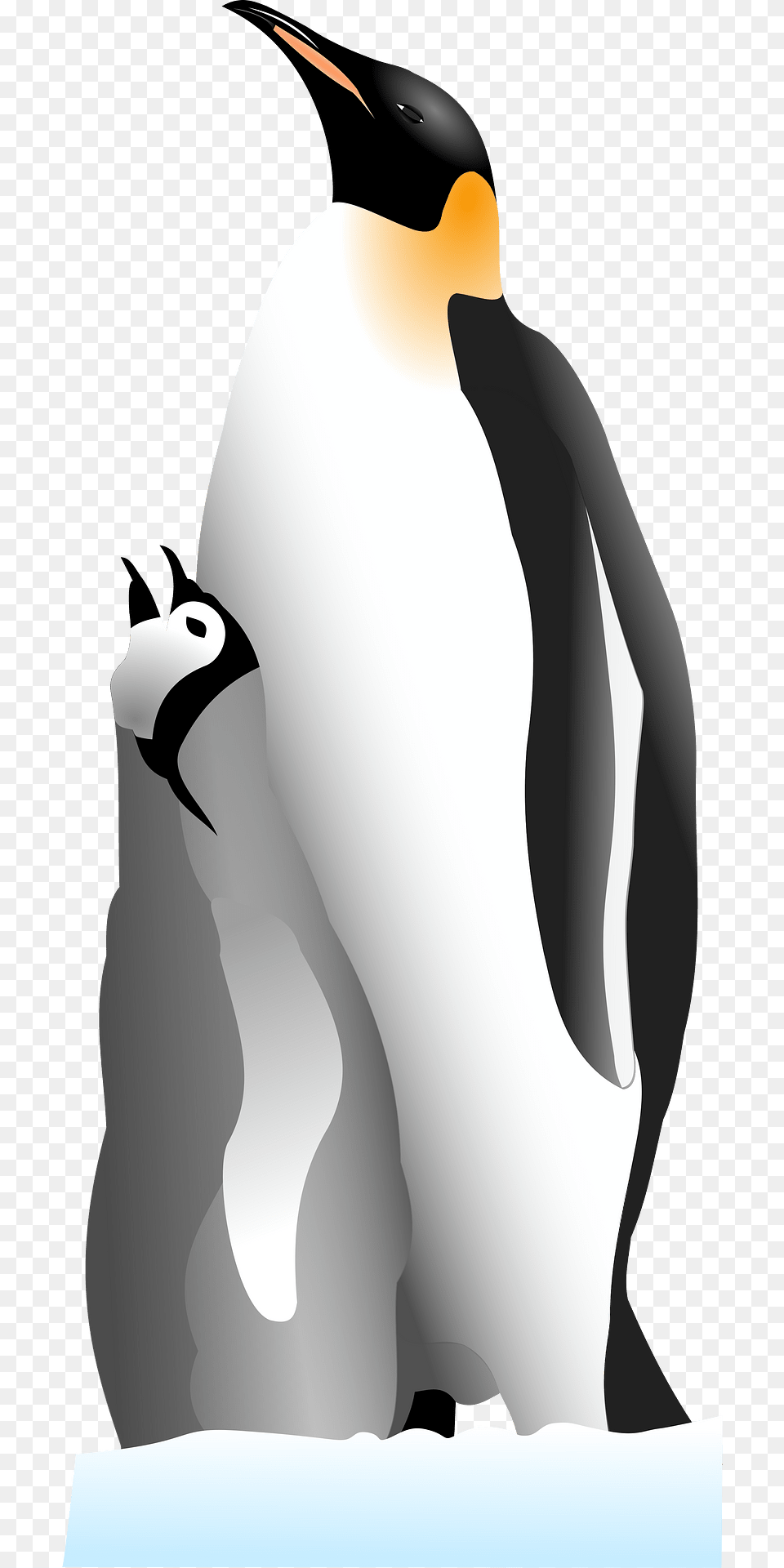 Penguins Clipart, Animal, Bird, King Penguin, Penguin Free Png Download