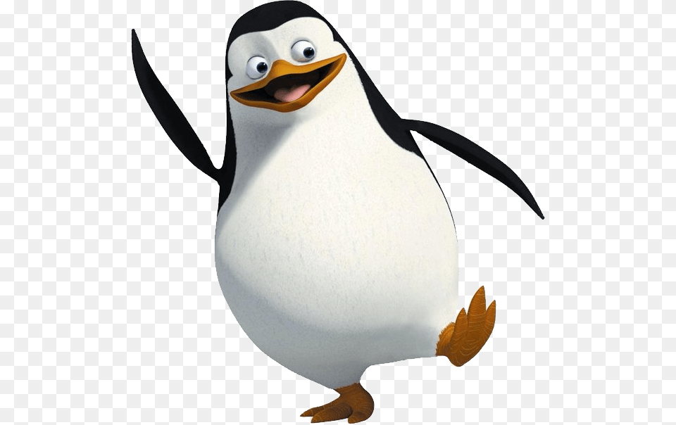 Penguins From Madagascar, Animal, Bird, Penguin Free Png